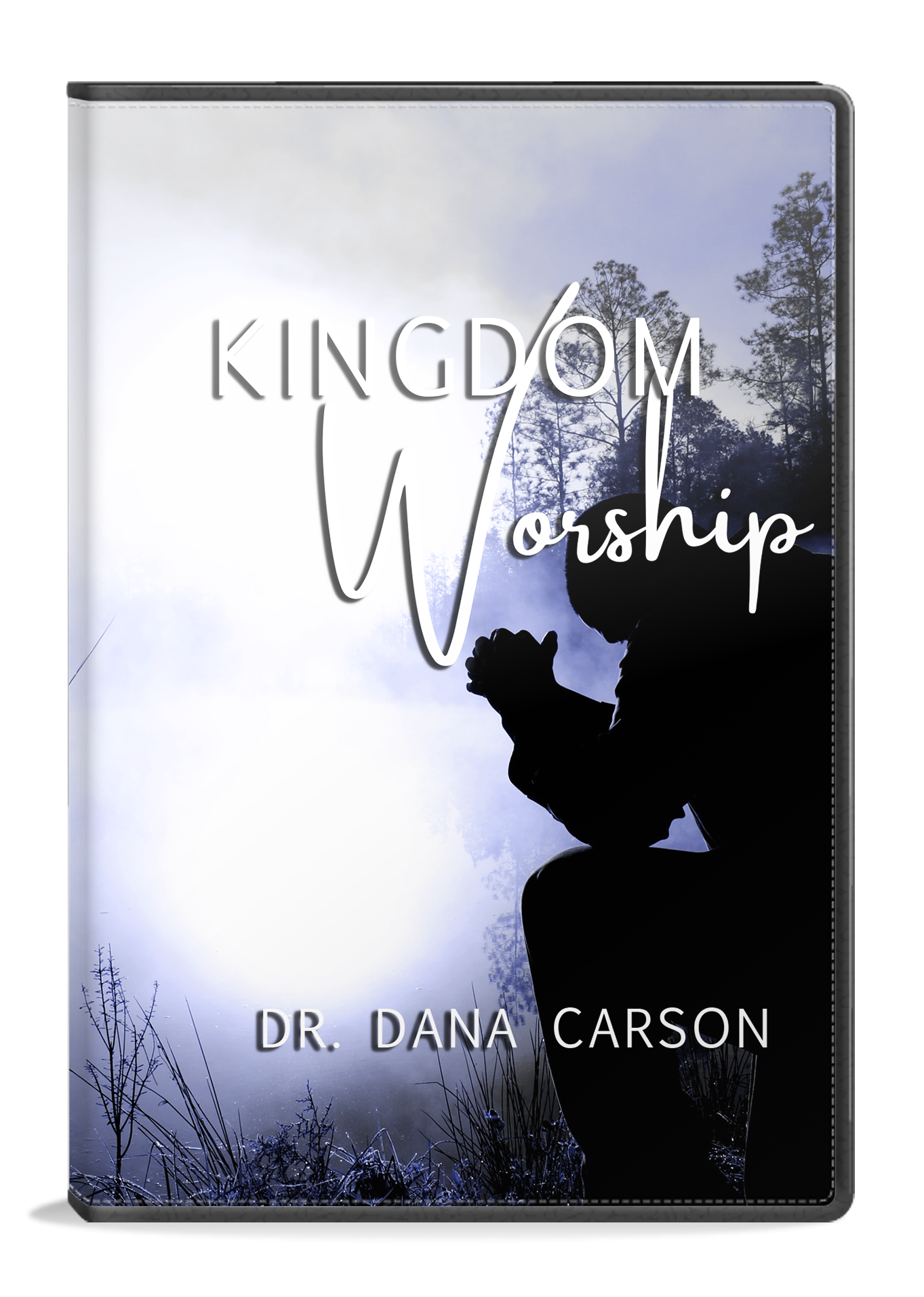 Kingdom Worship Series