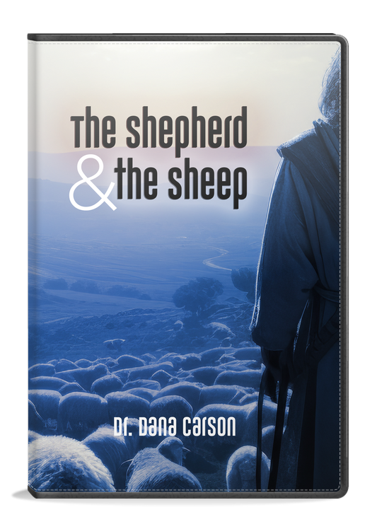 The Shepherd and the Sheep Series (2023)